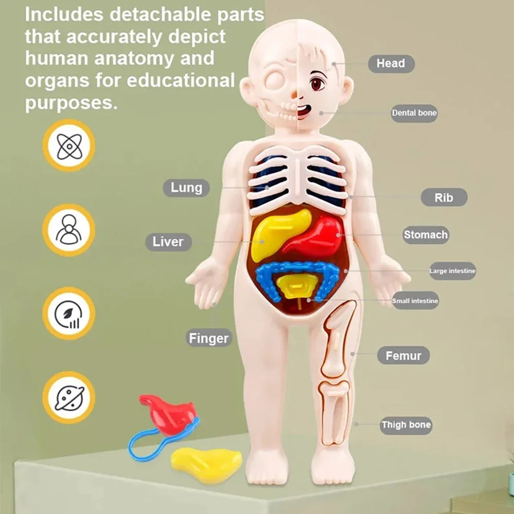 Medical Toys Teaching Kids Tools