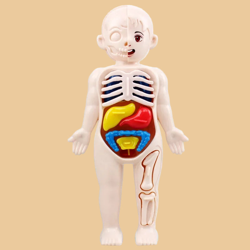 Medical Toys Teaching Kids Tools