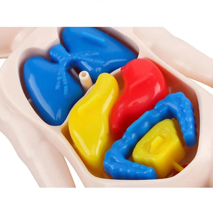 Medical Toys Teaching Kids Tools