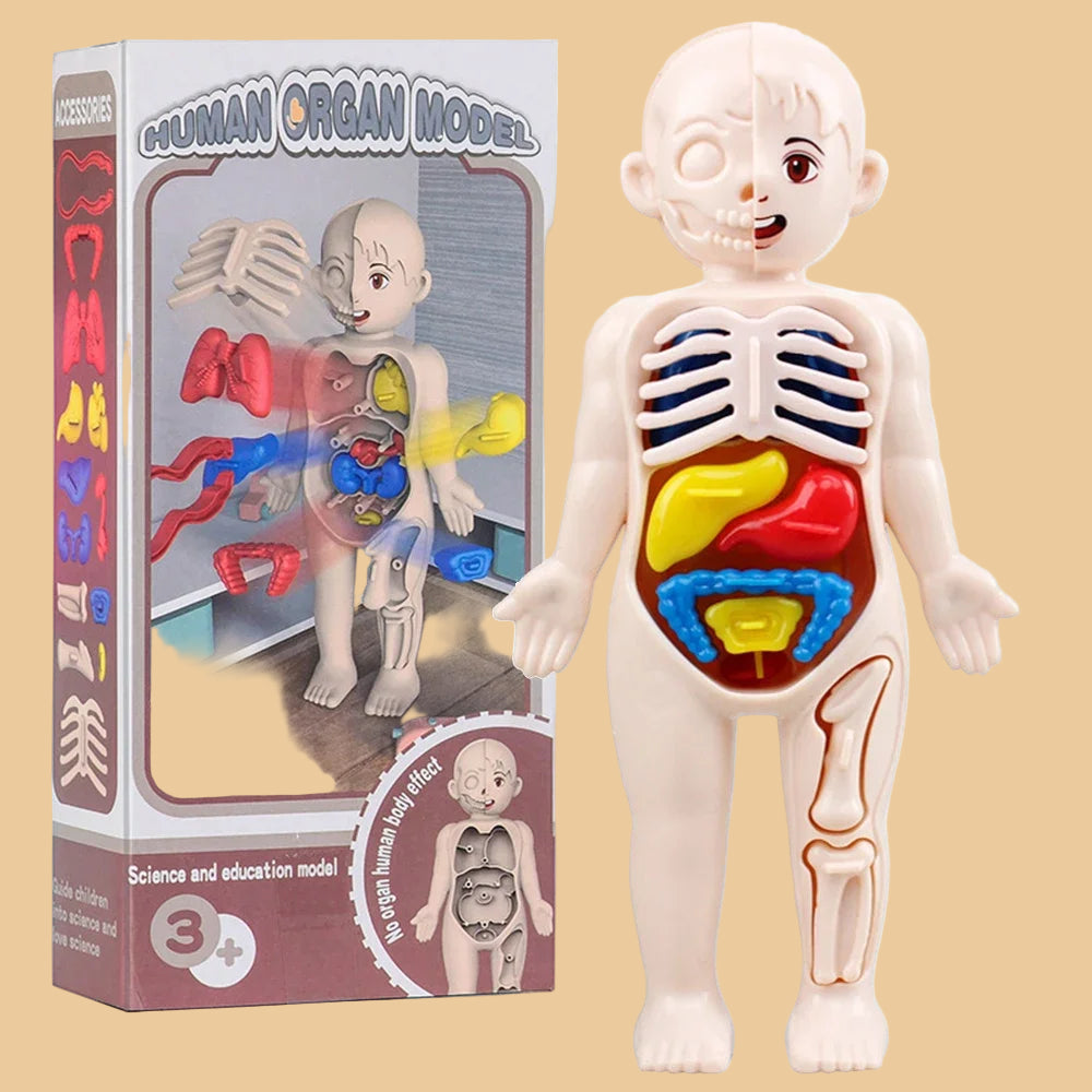Medical Toys Teaching Kids Tools