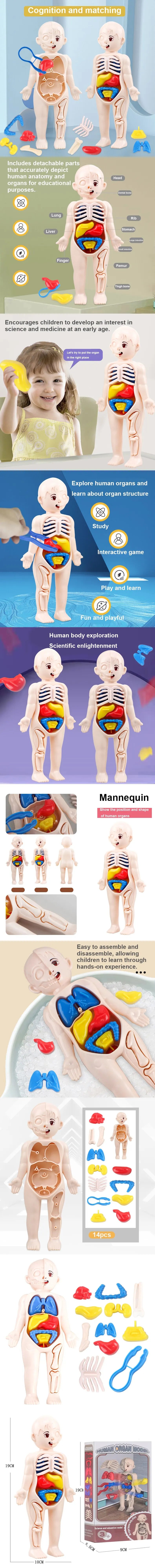 Medical Toys Teaching Kids Tools