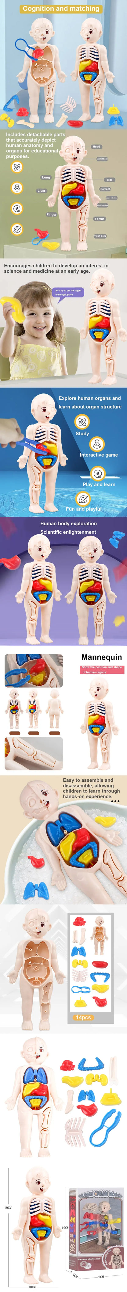 Medical Toys Teaching Kids Tools
